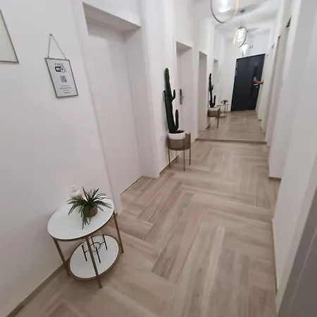 Balance 4 Koper